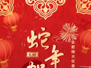 合肥精大儀表2025春節(jié)表彰暨聯(lián)歡會(huì)：回顧精彩，展望