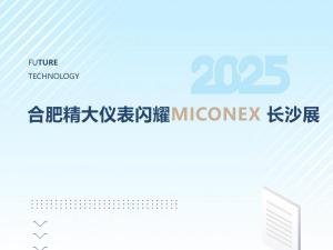 火爆收官！合肥精大儀表閃耀MICONEX長(zhǎng)沙展