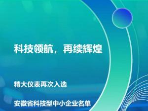 科技領(lǐng)航，再續(xù)輝煌！——合肥精大儀表股份有限公司再次入選安